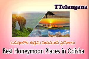 ఒడిషాలోని ఉత్తమ హనీమూన్ ప్రదేశాలు,Best Honeymoon Places in Odisha