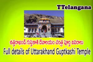 ఉత్తరాఖండ్ గుప్తకాశీ దేవాలయం చరిత్ర పూర్తి వివరాలు,Full details of Uttarakhand Guptkashi Temple