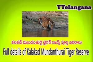 కలకడ్ ముందంతురై టైగర్ రిజర్వ్ పూర్తి వివరాలు,Full details of Kalakad Mundanthurai Tiger Reserve