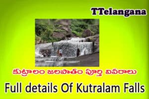 కుట్రాలం జలపాతం పూర్తి వివరాలు,Full details Of Kutralam Falls
