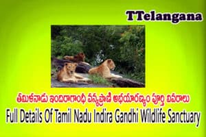 తమిళనాడు ఇందిరాగాంధీ వన్యప్రాణి అభయారణ్యం పూర్తి వివరాలు,Full Details Of Tamil Nadu Indira Gandhi Wildlife Sanctuary