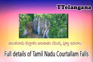 తమిళనాడు కుర్తాళం జలపాతం యొక్క పూర్తి వివరాలు,Full details of Tamil Nadu Courtallam Falls