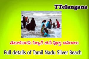 తమిళనాడు సిల్వర్ బీచ్ పూర్తి వివరాలు,Full details of Tamil Nadu Silver Beach