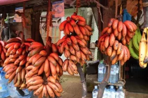Health benefits of Red bananas