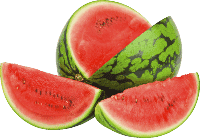 watermelon (1)పుచ్చకాయ నుండి మీరు పొందగల అనేక ప్రయోజనాల గురించి మీకు తెలిస్తే.