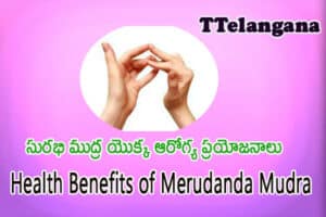 సురభి ముద్ర యొక్క ఆరోగ్య ప్రయోజనాలు,Health Benefits of Surabhi Mudra