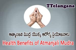 ఆత్మాంజలి ముద్ర యొక్క ఆరోగ్య ప్రయోజనాలు,Health Benefits of Atmanjali Mudra