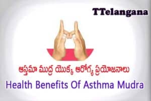 ఆస్తమా ముద్ర యొక్క ఆరోగ్య ప్రయోజనాలు,Health Benefits Of Asthma Mudra