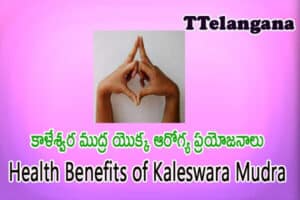 కాళేశ్వర ముద్ర యొక్క ఆరోగ్య ప్రయోజనాలు,Health Benefits of Kaleswara Mudra
