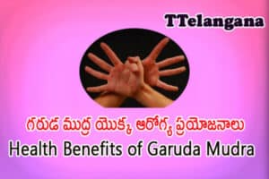 గరుడ ముద్ర యొక్క ఆరోగ్య ప్రయోజనాలు,Health Benefits of Garuda Mudra
