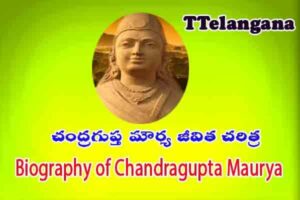 చంద్రగుప్త మౌర్య జీవిత చరిత్ర,Biography of Chandragupta Maurya