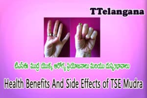 టి‌ఎస్‌ఈ ముద్ర యొక్క ఆరోగ్య ప్రయోజనాలు మరియు దుష్ప్రభావాలు,Health Benefits And Side Effects of TSE Mudra