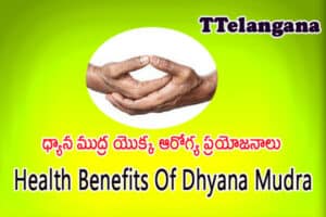 ధ్యాన ముద్ర యొక్క ఆరోగ్య ప్రయోజనాలు,Health Benefits Of Dhyana Mudra