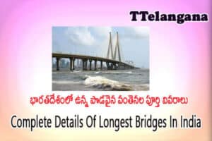 భారతదేశంలో ఉన్న పొడవైన వంతెనల పూర్తి వివరాలు,Complete Details Of Longest Bridges In India