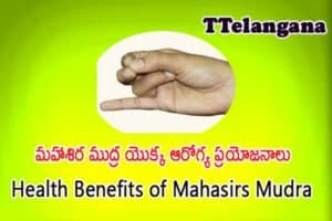 మహాశిర ముద్ర యొక్క ఆరోగ్య ప్రయోజనాలు,Health Benefits of Mahasirs Mudra