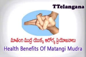 మాతంగి ముద్ర యొక్క ఆరోగ్య ప్రయోజనాలు,Health Benefits Of Matangi Mudra