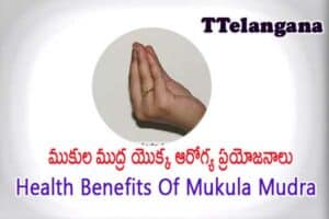 ముకుల ముద్ర యొక్క ఆరోగ్య ప్రయోజనాలు,Health Benefits Of Mukula Mudra