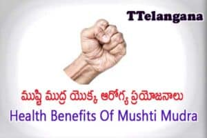 ముష్టి ముద్ర యొక్క ఆరోగ్య ప్రయోజనాలు,Health Benefits Of Mushti Mudra