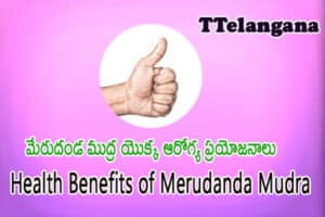 మేరుదండ ముద్ర యొక్క ఆరోగ్య ప్రయోజనాలు,Health Benefits of Merudanda Mudra