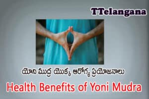 యోని ముద్ర యొక్క ఆరోగ్య ప్రయోజనాలు,Health Benefits of Yoni Mudra