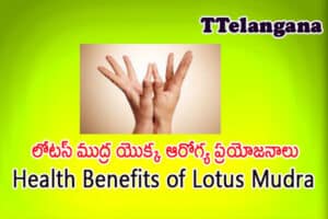 లోటస్ ముద్ర యొక్క ఆరోగ్య ప్రయోజనాలు,Health Benefits of Lotus Mudra