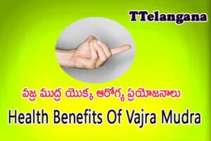 వజ్ర ముద్ర యొక్క ఆరోగ్య ప్రయోజనాలు,Health Benefits Of Vajra Mudra