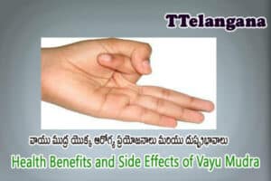 వాయు ముద్ర యొక్క ఆరోగ్య ప్రయోజనాలు మరియు దుష్ప్రభావాలు,Health Benefits and Side Effects of Vayu Mudra