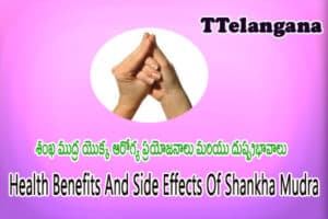 శంఖ ముద్ర యొక్క ఆరోగ్య ప్రయోజనాలు మరియు దుష్ప్రభావాలు,Health Benefits And Side Effects Of Shankha Mudra