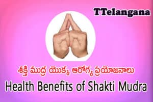 శక్తి ముద్ర యొక్క ఆరోగ్య ప్రయోజనాలు,Health Benefits of Shakti Mudra