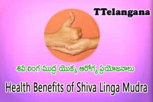 శివ లింగ ముద్ర యొక్క ఆరోగ్య ప్రయోజనాలు,Health Benefits of Shiva Linga Mudra