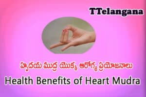 హృదయ ముద్ర యొక్క ఆరోగ్య ప్రయోజనాలు,Health Benefits of Heart Mudra