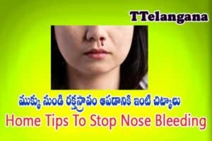 ముక్కు నుండి రక్తస్రావం ఆపడానికి ఇంటి చిట్కాలు,Home Tips To Stop Nose Bleeding