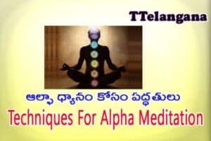 ఆల్ఫా ధ్యానం కోసం పద్ధతులు,Techniques For Alpha Meditation
