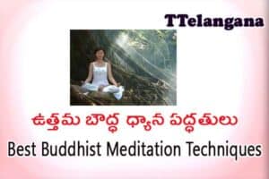 ఉత్తమ బౌద్ధ ధ్యాన పద్ధతులు,Best Buddhist Meditation Techniques