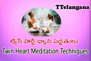 ట్విన్ హార్ట్ ధ్యాన పద్ధతులు, Twin Heart Meditation Techniques