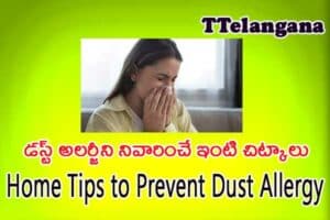 డస్ట్ అలర్జీని నివారించే ఇంటి చిట్కాలు,Home Tips to Prevent Dust Allergy