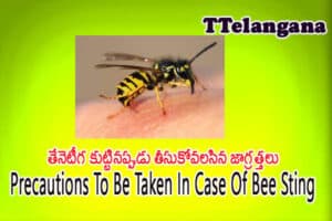 తేనెటీగ కుట్టినప్పుడు తీసుకోవలసిన జాగ్రత్తలు,Precautions To Be Taken In Case Of Bee Sting