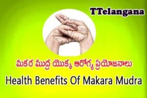 మకర ముద్ర యొక్క ఆరోగ్య ప్రయోజనాలు,Health Benefits Of Makara Mudra