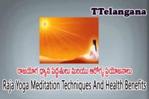 రాజయోగ ధ్యాన పద్ధతులు మరియు ఆరోగ్య ప్రయోజనాలు,Raja Yoga Meditation Techniques And Health Benefits