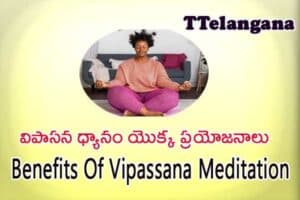 విపాసన ధ్యానం యొక్క ప్రయోజనాలు,Benefits Of Vipassana Meditation