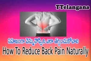 సహజంగా వెన్నునొప్పిని ఎలా తగ్గించుకోవాలి,How To Reduce Back Pain Naturally