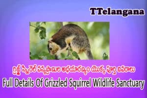 గ్రిజ్ల్డ్ స్క్విరెల్ వన్యప్రాణుల అభయారణ్యం యొక్క పూర్తి వివరాలు,Full Details Of Grizzled Squirrel Wildlife Sanctuary