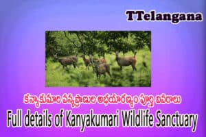 కన్యాకుమారి వన్యప్రాణుల అభయారణ్యం పూర్తి వివరాలు,Full details of Kanyakumari Wildlife Sanctuary
