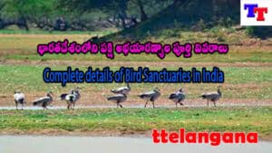 భారతదేశంలోని పక్షి అభయారణ్యాల పూర్తి వివరాలు,Complete details of Bird Sanctuaries in India